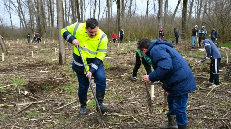 A jövő nemzedékének ültettünk erdőt!