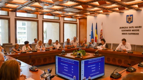 Lenuța Cornea și Oliviu Buzgău sunt noii vicepreședinți ai Consiliului Județean Satu Mare