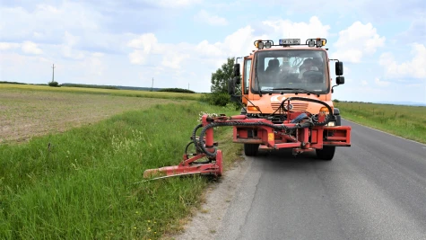 Cosim vegetația din apropierea drumurilor județene