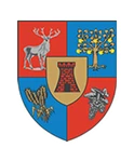 SATU MARE COUNTY COUNCIL