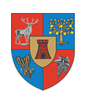 CONSILIUL JUDEȚEAN