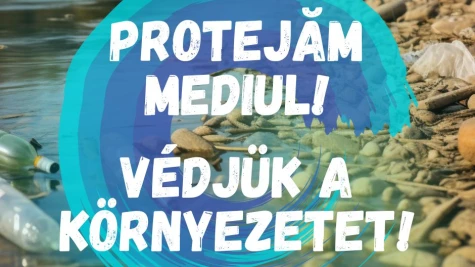 Projektek a tisztább és egészségesebb környezetért!