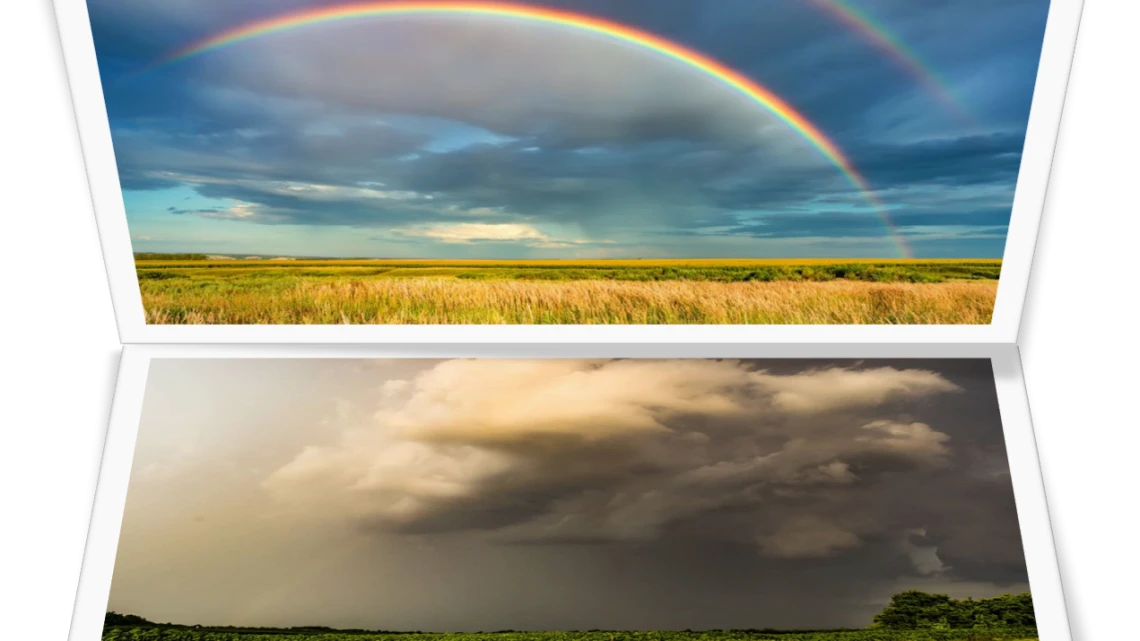 Conferința de diseminare științifică "COMBATEREA GRINDINEI – PROVOCĂRI, SOLUȚII, PERSPECTIVE"