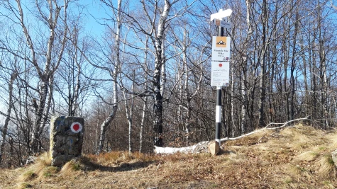 Negrești-Oaș – Muntele Mic