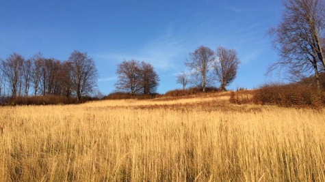 Păstrăvăria Boda Oșanu – Poiana Boroș