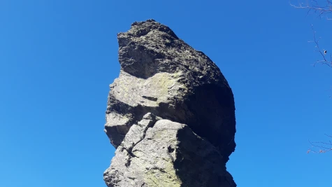 Gol Alpin Pietroasa – Vf. Pietroasa