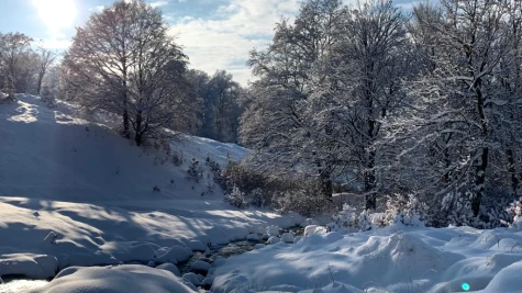 Borcut Luna Șes – Izvor Trestia