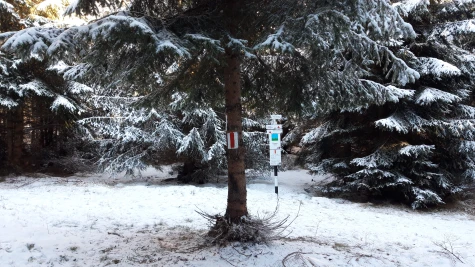 Plecare Telescaun Luna Șes – Poiana Soci