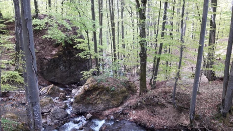 Negrești-Oaș – Vf. Pietroasa