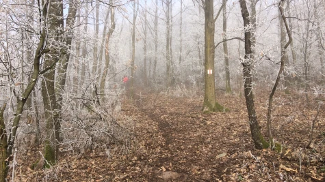 Tămășeni – Vf. Cetățeaua