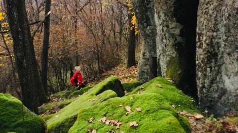 Primăria Bătarci – Măgura Bătarci, Ghiboacele