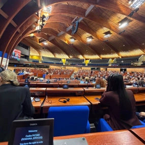 A helyi közösségek kérdései Strasbourgban is napirenden vannak