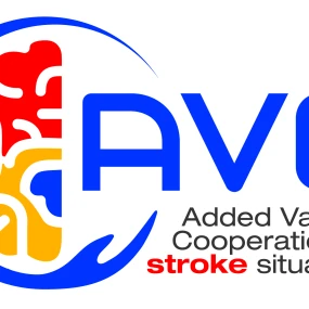 AVC- ADDED VALUE FOR COOPERATION IN STROKE SITUATIONS